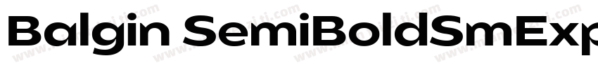 Balgin SemiBoldSmExp字体转换